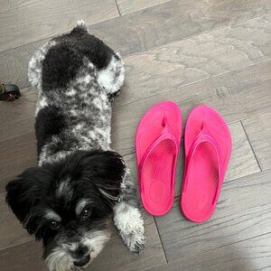 OOFOS Women's OOlala Wide 8 Fushsia Pink Price Drop!